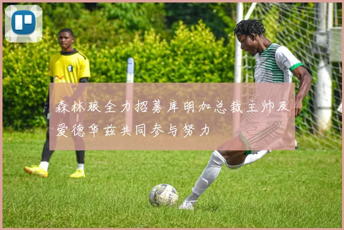 森林狼全力招募库明加总裁主帅及爱德华兹共同参与努力